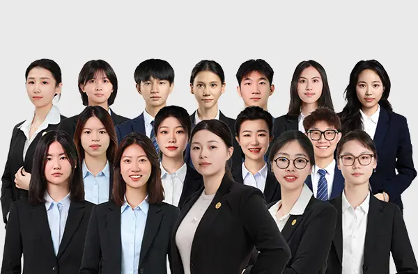 Professional Support Team